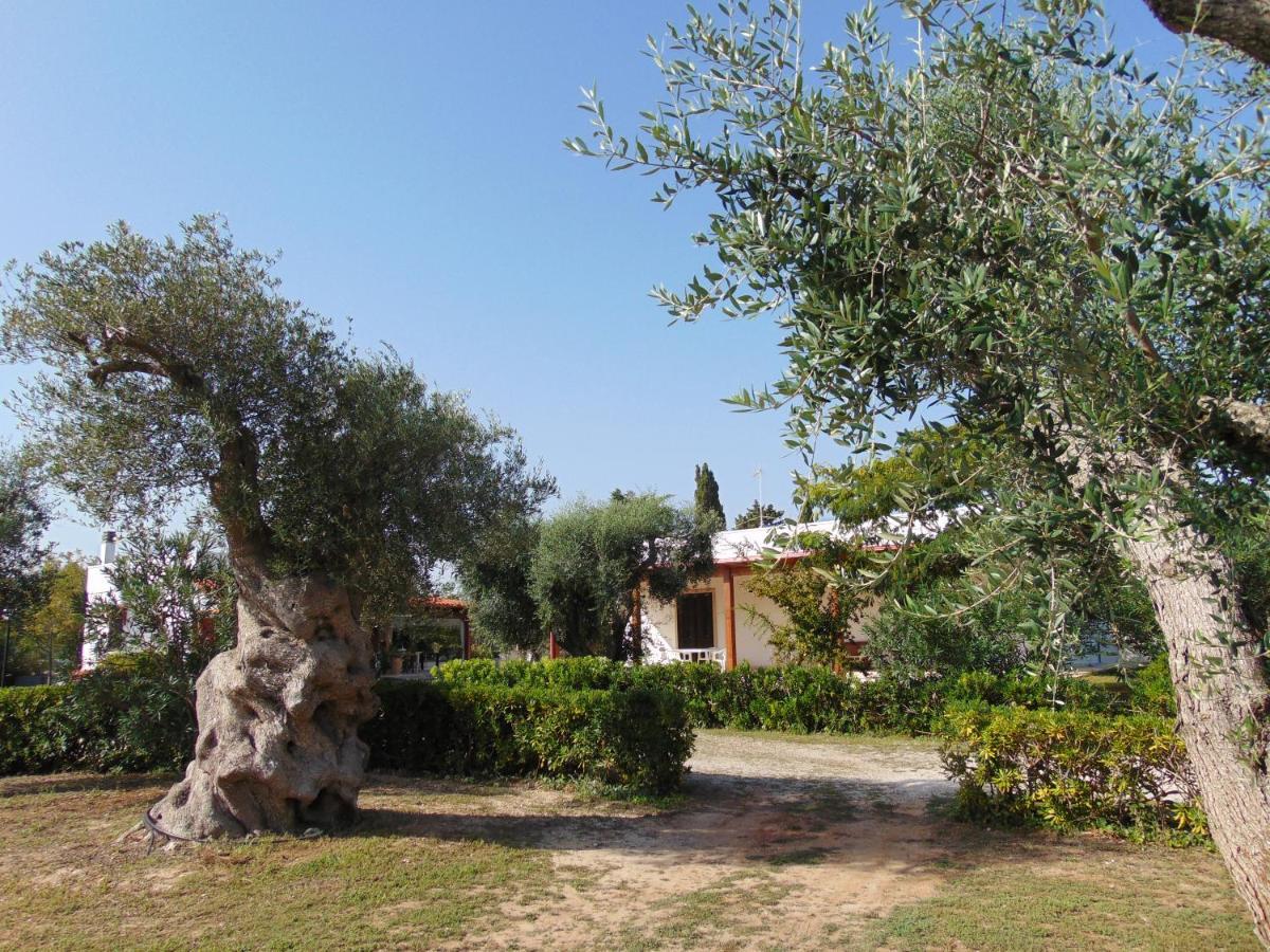Agriturismo Villa Tommaso Torre dell'Orso Exteriér fotografie