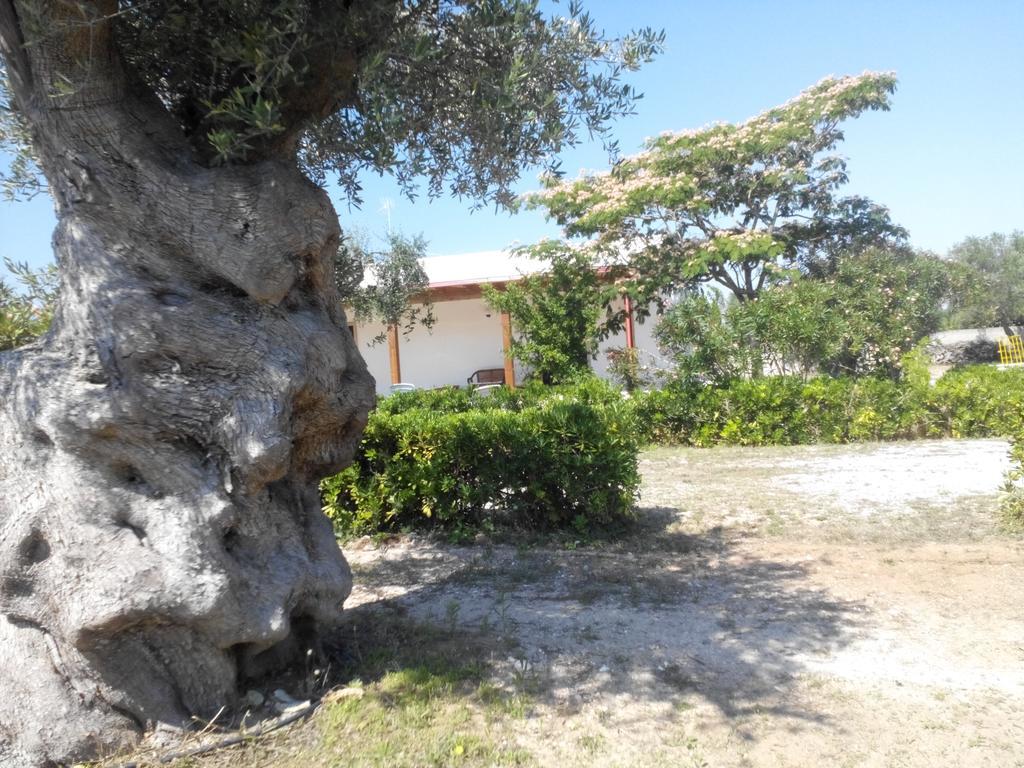 Agriturismo Villa Tommaso Torre dell'Orso Exteriér fotografie